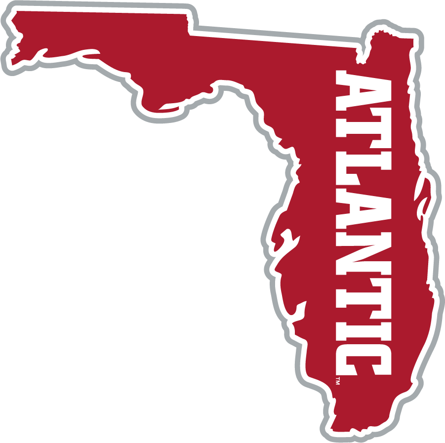 Florida Atlantic Owls 2015-2017 Secondary Logo diy iron on heat transfer